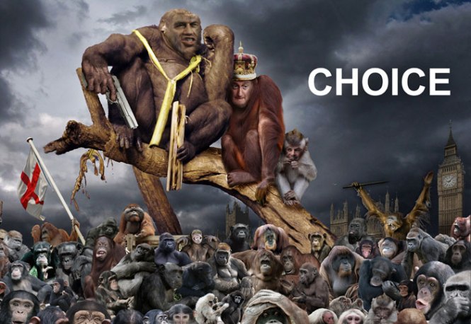 BROWNgorrilla(MINI)(web)