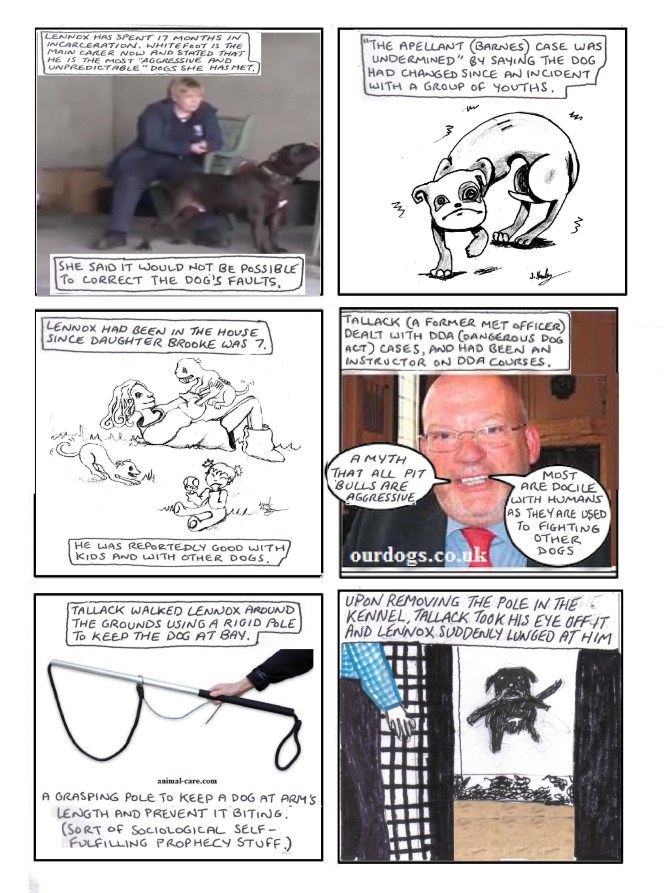 Binary Dog Lennox 04