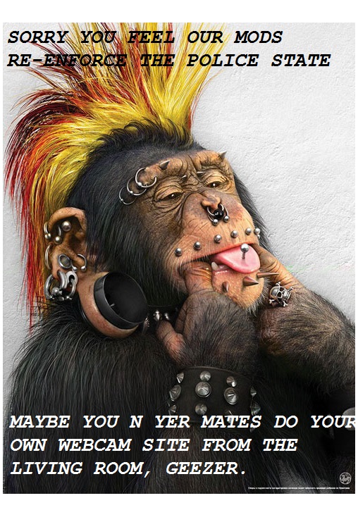 punk-monkey